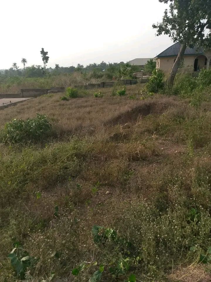 A plot of land for sale at Ogo-oluwa